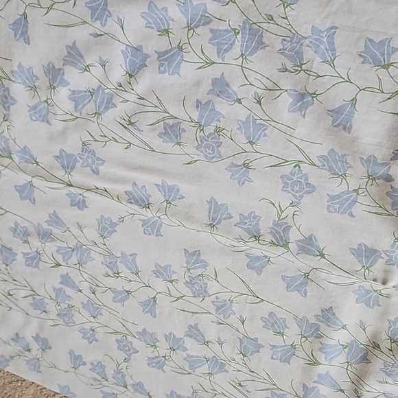 Ikea blue and white floral curtains.  Pair with tiebacks. - Picture 1 of 7